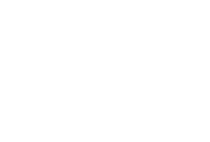 socal fire dancers transparent background logo
